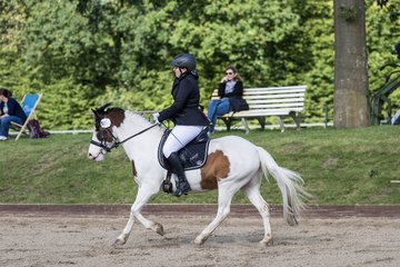 Bild 351 - Pony Akademie Turnier